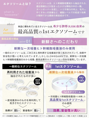 GLOW＠DAWN 1st Exosome Extra 3% Serum 30ml - YOYO JAPAN