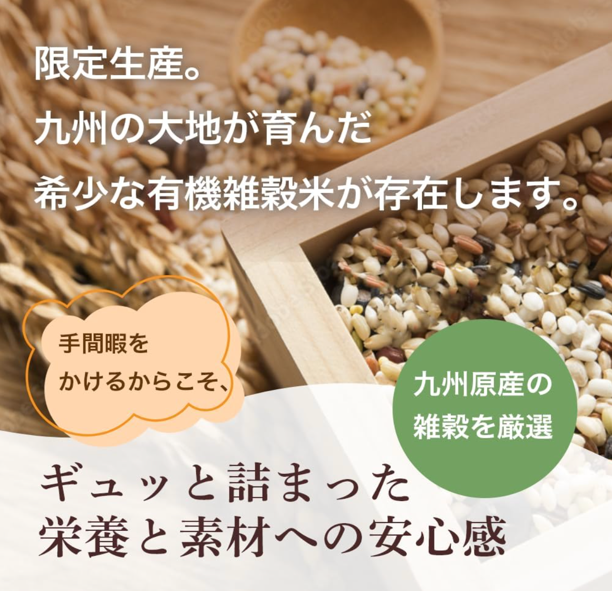 Organic Millet Grains, Organic Millet Rice (200g), 1 Bag - YOYO JAPAN