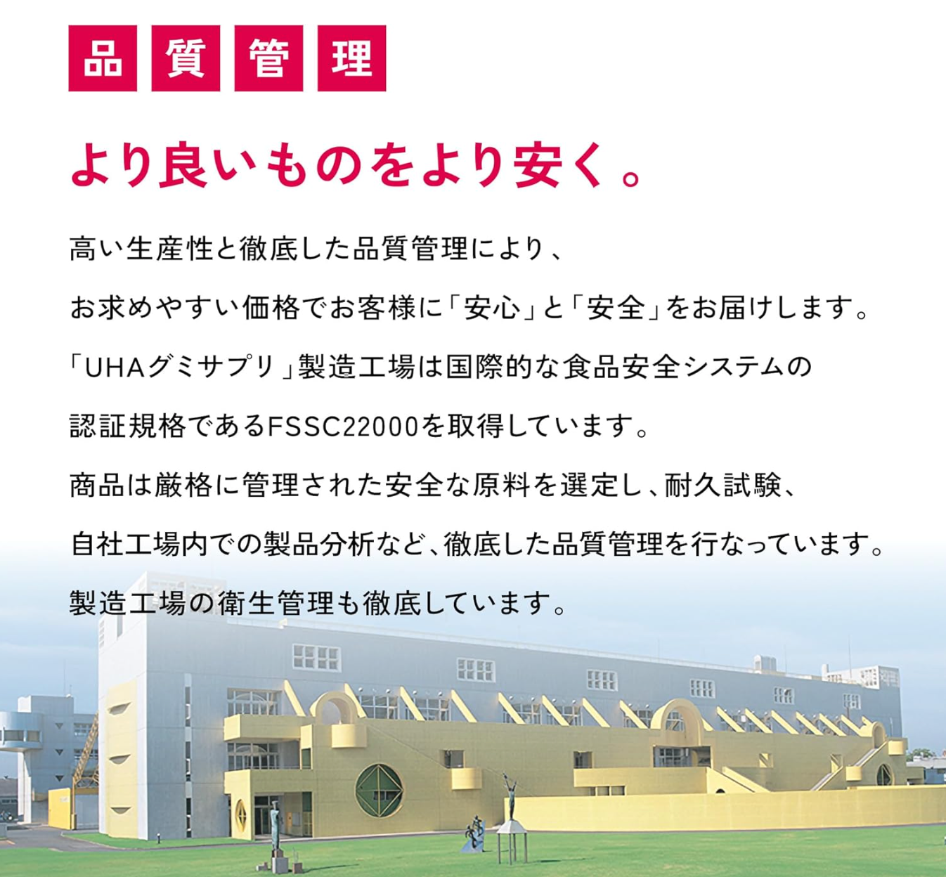 UHA Mikakuto Iron Gummy Supplement, Grape Flavor (Set of 5) - YOYO JAPAN