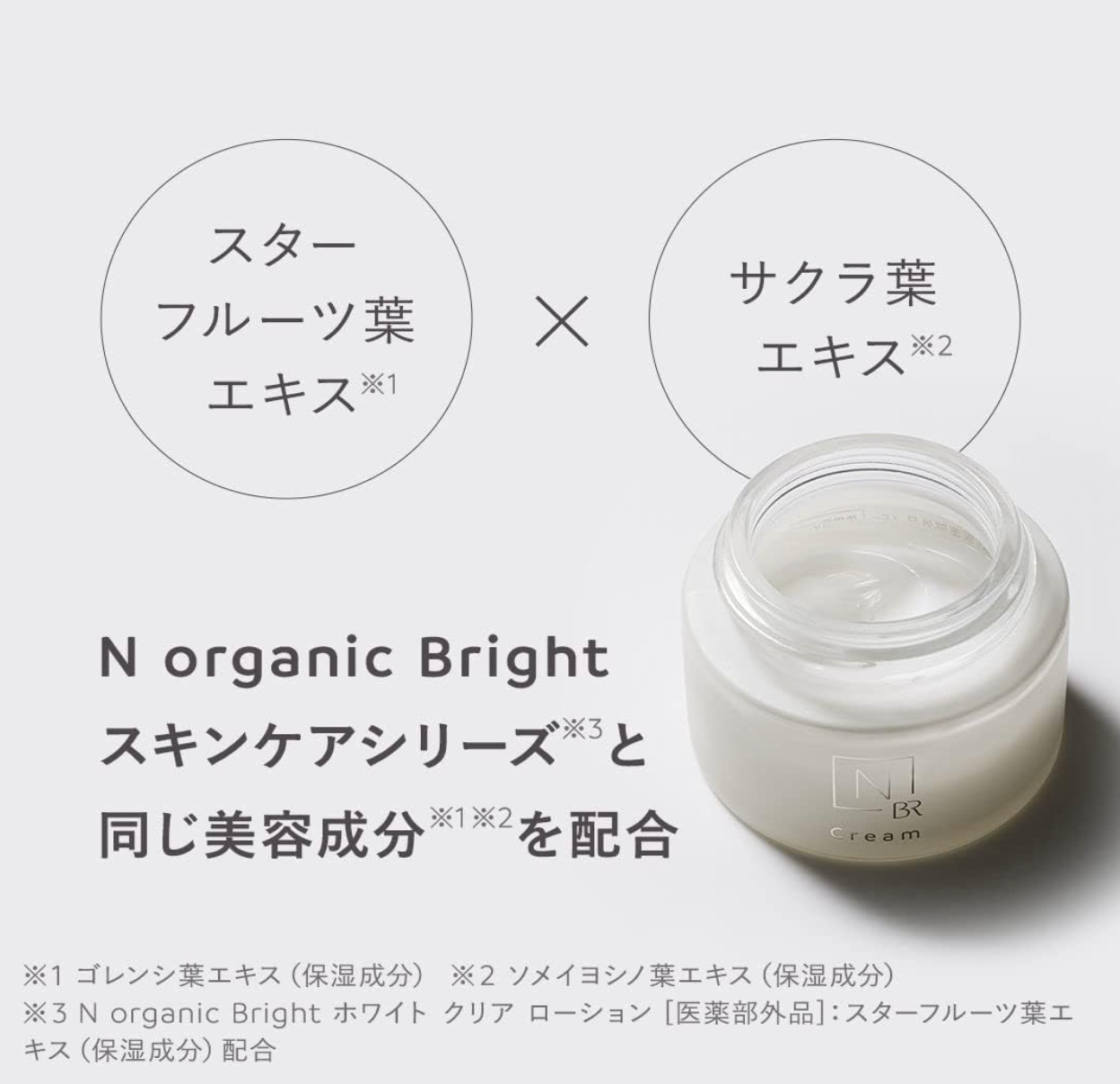 Sunscreen N organic Tone Up UV Protector (30g) - YOYO JAPAN