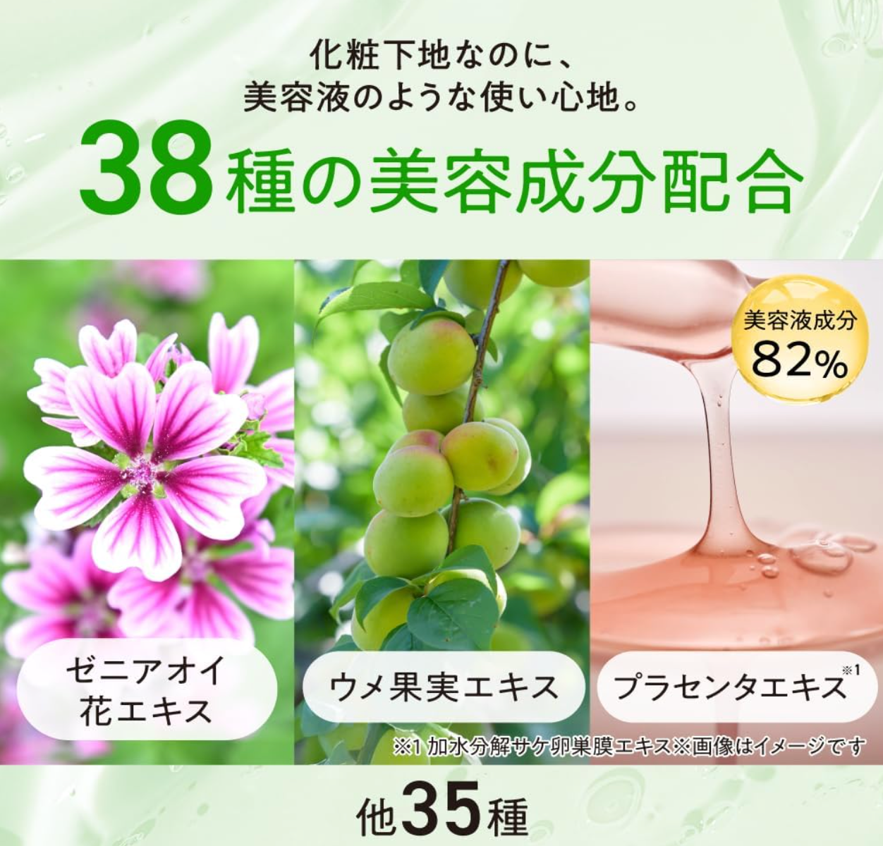 MACCHIALABEL Makeup Base for Skin Trouble - YOYO JAPAN