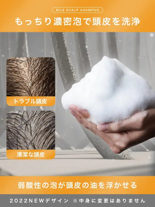 Nile Dense Foam Scalp Shampoo Men’S La France Fragrance Amino Acid Non - Silicone Rinse Ingredients