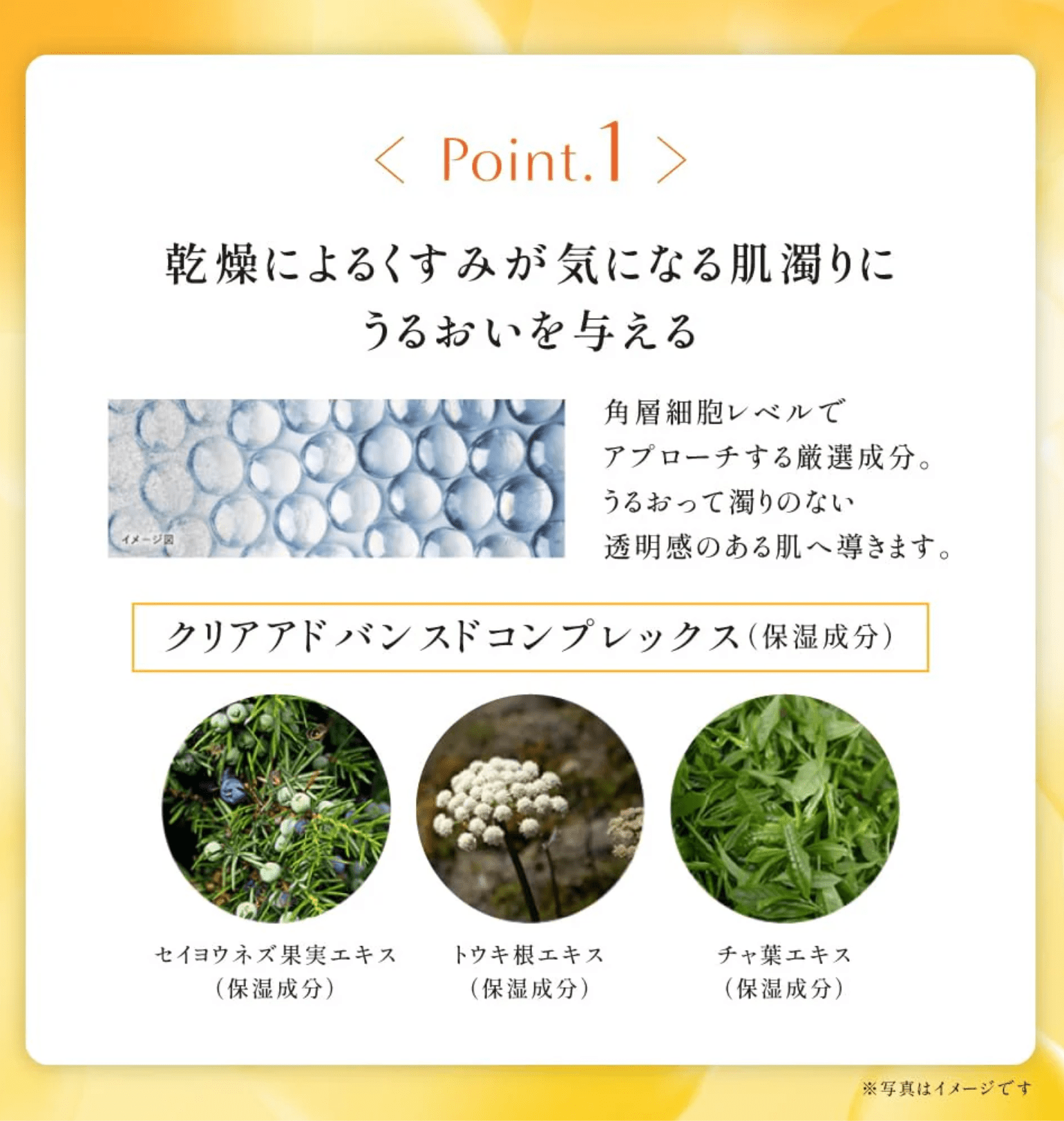 Obagi C Clear Advanced Lotion Refill 120ml Brightening Skincare Solution