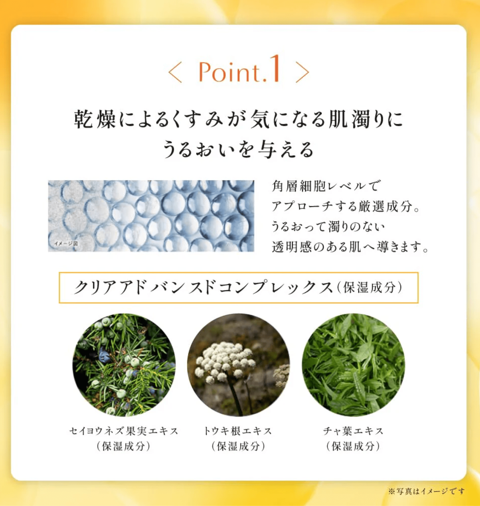 Obagi C Clear Advanced Lotion With 4 Vitamin C Types and Ascophyllum Nodosum