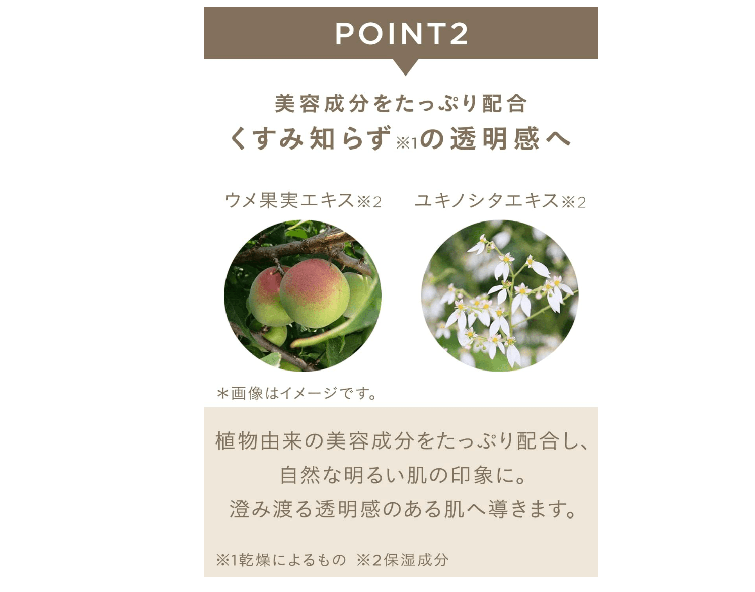 PA+++ Mineral Inner Treatment Base Lavender Beige (25ml)