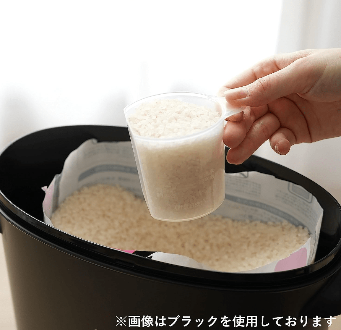 Pearl Metal Rice Box