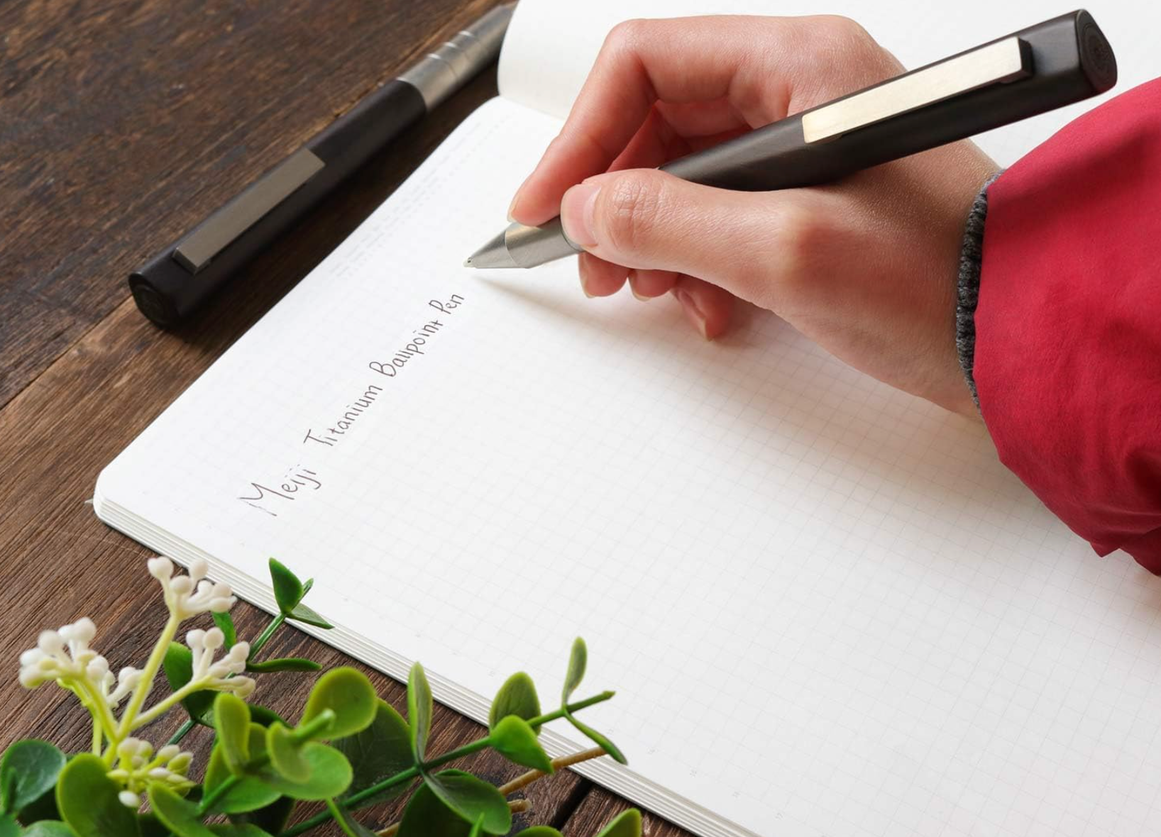 Meiji Titanium Ballpoint Pen, 142 mm, titanium grip with ebony body, elegant writing instrument