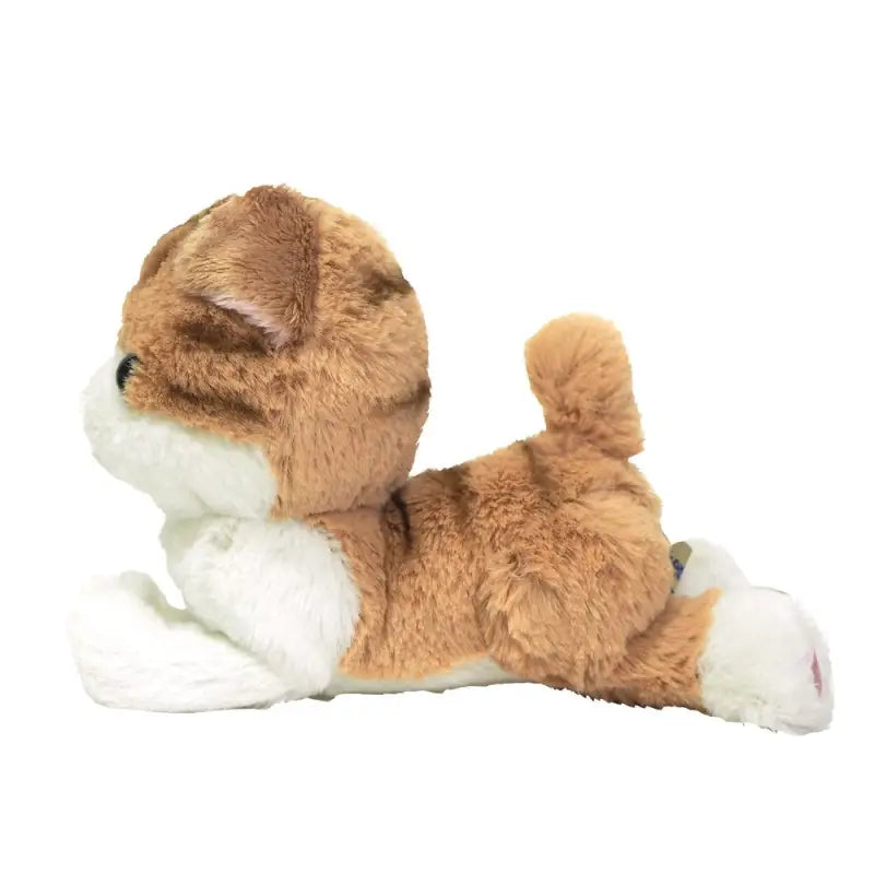 Plush Doll Kitten Scottish Fold Brown Size S