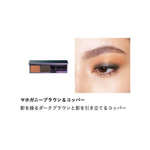 Pola B.a Eye Powder 6 Mahogany Brown & Copper 3.6g - Japanese Shadow Products