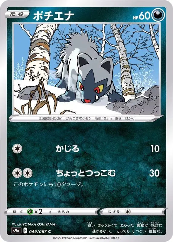 Poochyena - 049/067 S9A C MINT Pokémon TCG Japanese Pokemon card