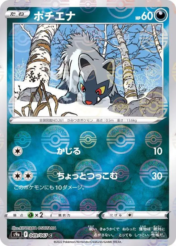 Poochyena Mirror - 049/067 S9A C MINT Pokémon TCG Japanese Pokemon card