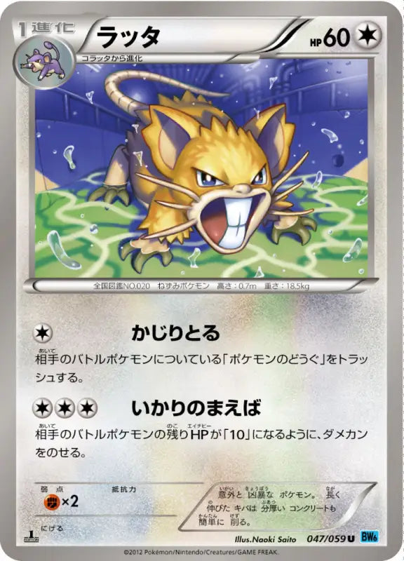 Raticate - 047/059 U MINT Pokémon TCG Japanese Pokemon card