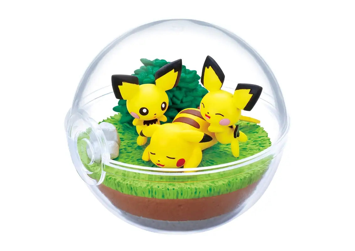 RE-MENT Pokemon Terrarium Collection Vol.9 6 Pcs Box