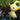 San - ei Boeki Pikmin Pk03 Yellow - Plush