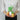 San-ei Boeki Super Mario All Star Collection Plush Yoshi S