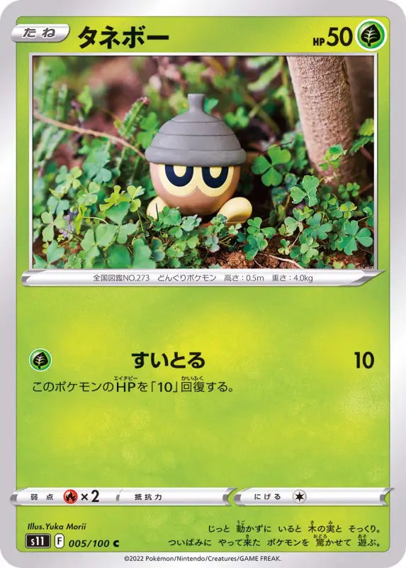 Seedot - 005/100 S11 C MINT Pokémon TCG Japanese Pokemon card