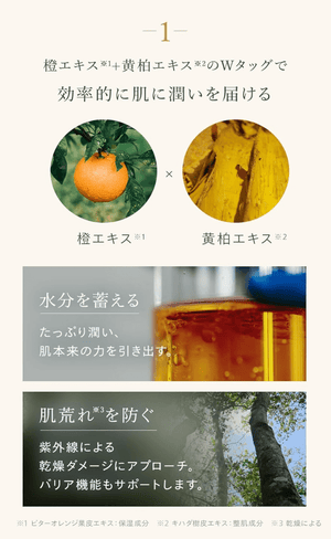 Set N Organic Basic Balancing Lotion (100ml), Essence Milk (60ml)