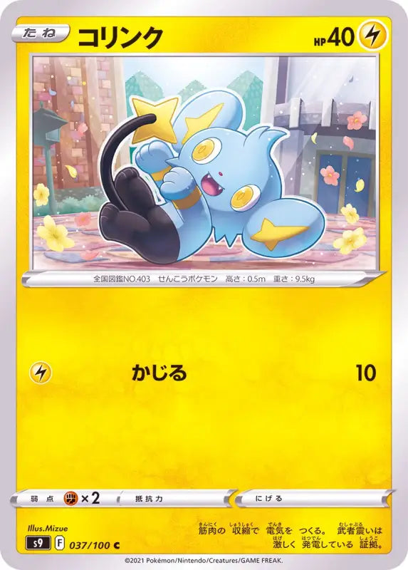 Shinx - 037/100 S9 C MINT Pokémon TCG Japanese Pokemon card