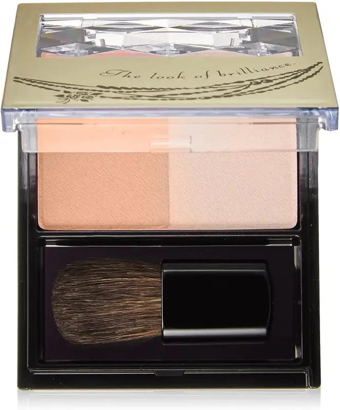 Shiseido Integrate Forming Cheeks BR310 3.5g - Powder Type Cheek Blush Makeup Products Skincare