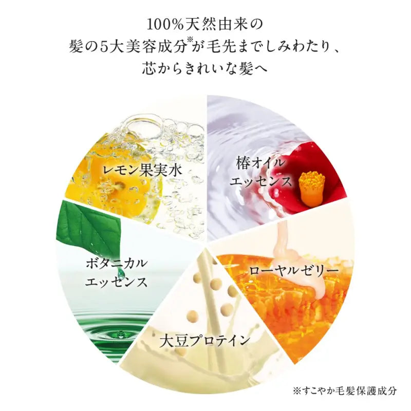 Shiseido Tsubaki Moist Shampoo Refill 330Ml | Japanese Haircare Made In Japan