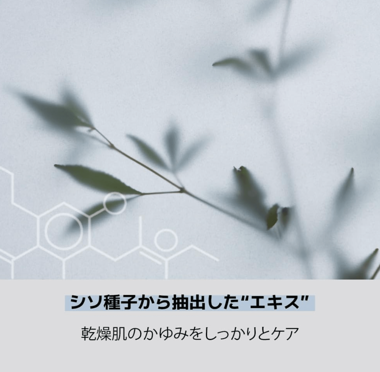 200ml Illiyoon Ceramide Ato Concentrate Cream open cap, creamy interior.