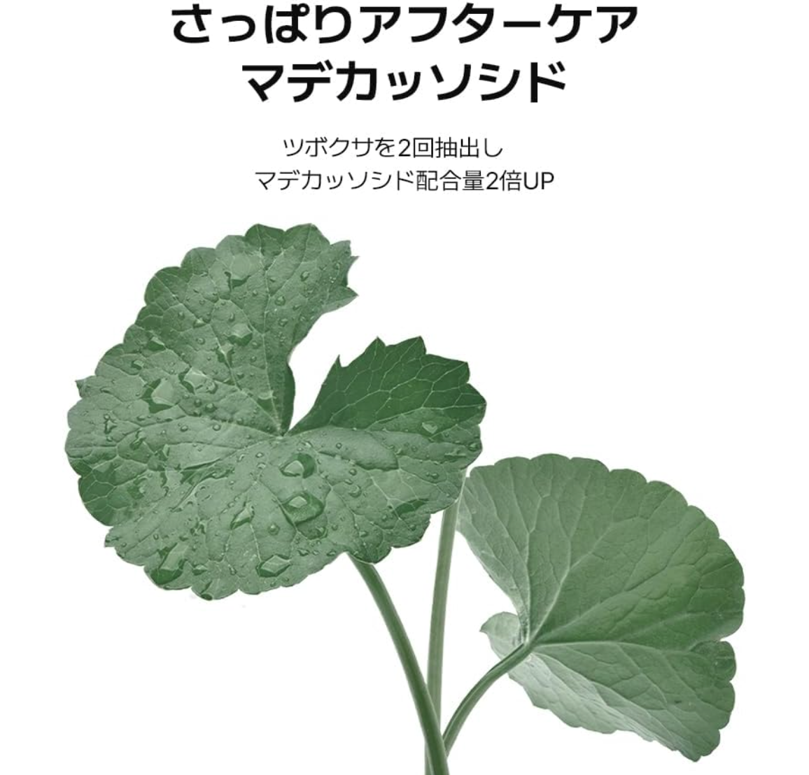 MEDIHEAL: Square Toner Pad (Madecassoside) 100 Sheets - YOYO JAPAN