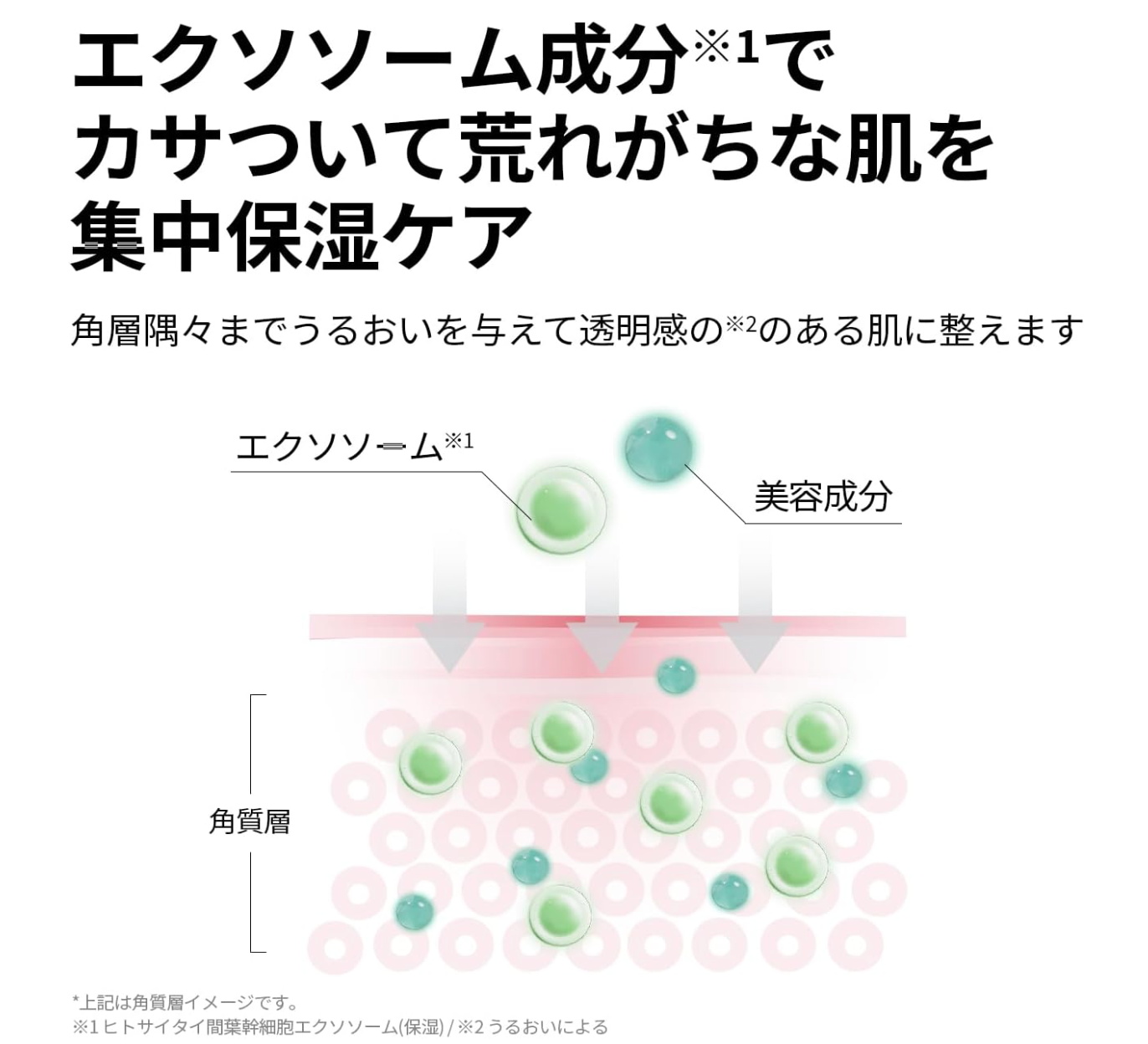 30 ml VT Cosmetics Reedle S PDRN+ Serum, nourishing vegan PDRN, offering dewy glass-skin finish
