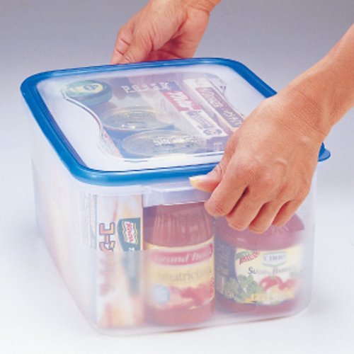 Squirrel 8L Clear Blue Storage Container Made In Japan Wj - 3 With Hard Passe Antibacterial Treatment