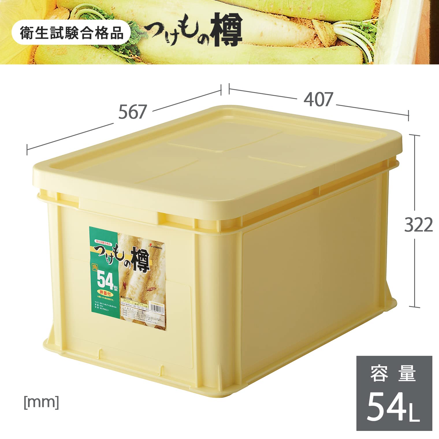 Squirrel Japan Tsukemono Barrel Angle 54 Type 171737 Ivory