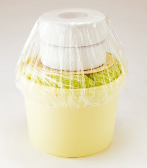 Squirrel Round Ivory Pickle Barrel Push Lid 80 Type Made In Japan