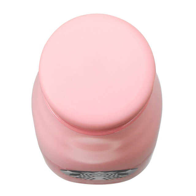 Starbucks Sakura 2022 Stainless Steel Mini Bottle Petal Gradient 237ml - Japanese Starbucks Bottles