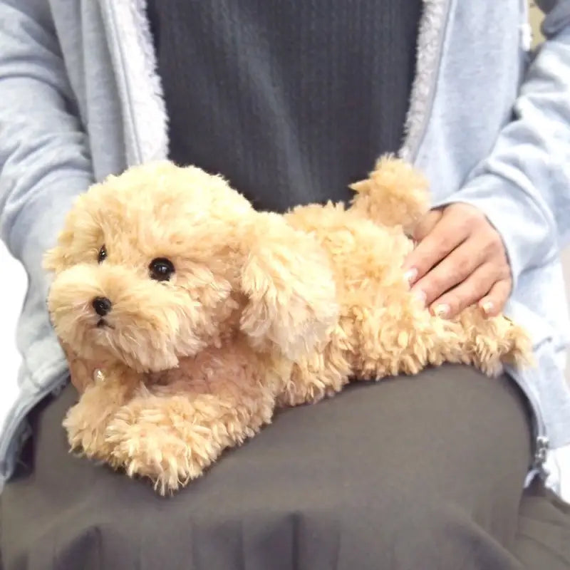 Sun Lemon Plush Doll Lap Dog Hiza Wanko Toy Poodle Beige Tjn