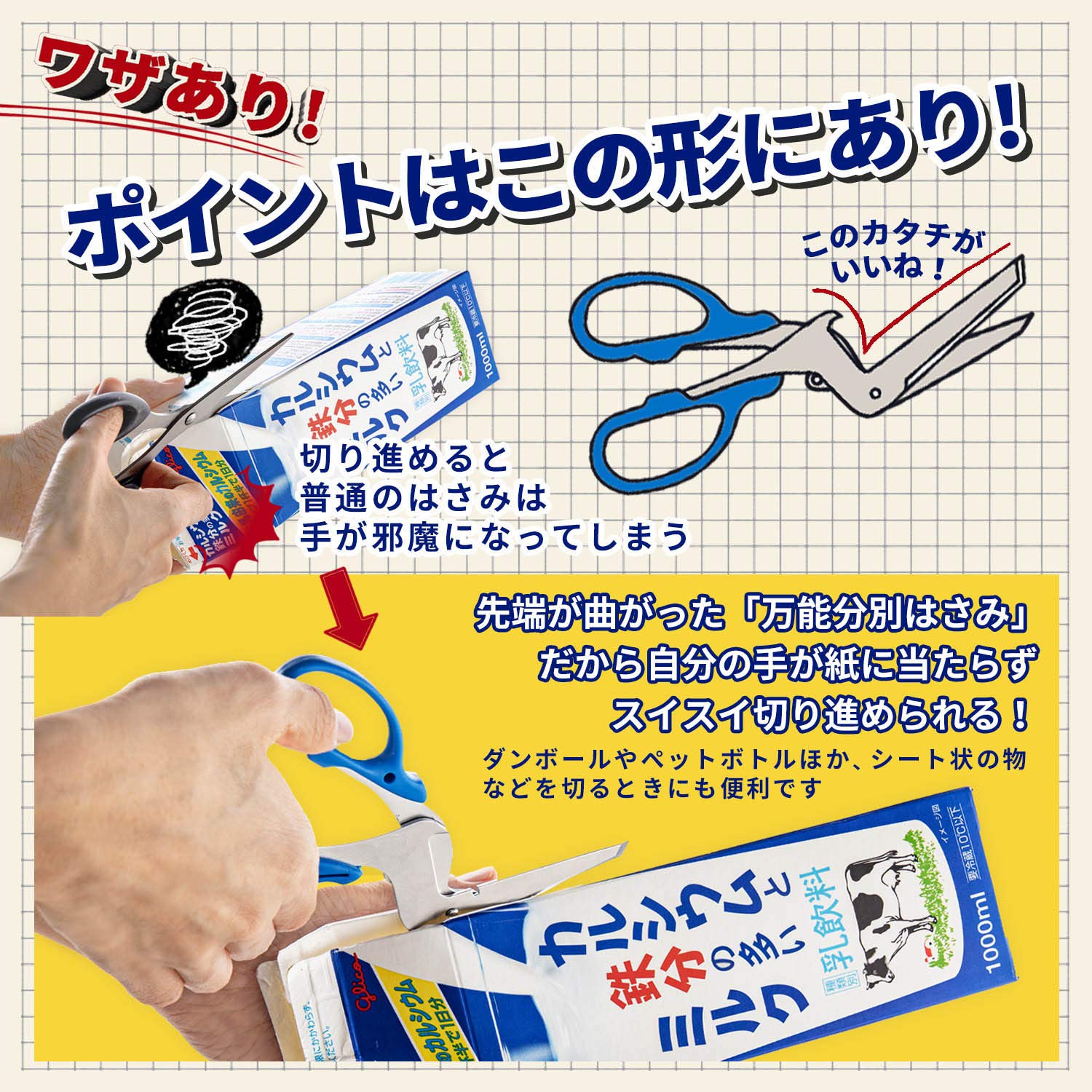 Sun - Star Stationery Universal Sorting Scissors S3716317 From Japan
