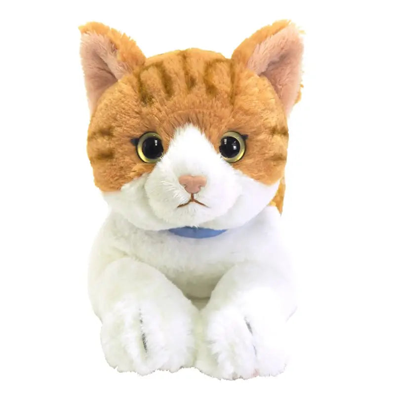 SUNLEMON Plush Doll Hiza Neko Chashiro White/Brown Cat Size M