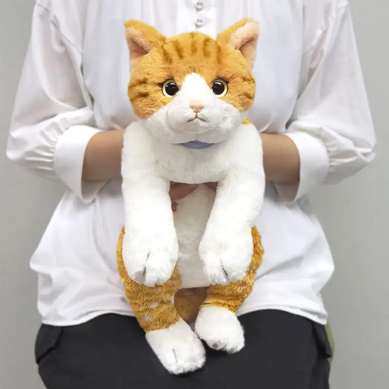 SUNLEMON Plush Doll Hiza Neko Chashiro White/Brown Cat Size M