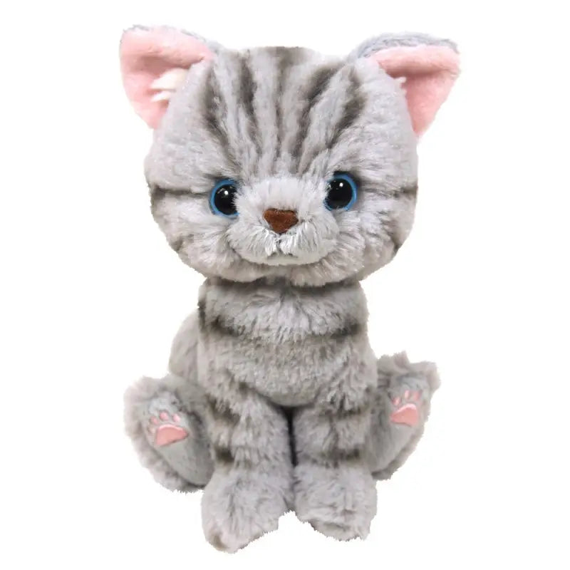 SUNLEMON Plush Doll Kitten American Shorthair Gray Size S Tjn