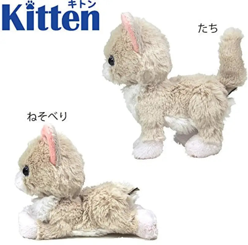 SUNLEMON Plush Doll Kitten Ragdoll Size S Tjn