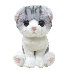 SUNLEMON Plush Doll Kitten Scottish Fold Gray Size S Tjn