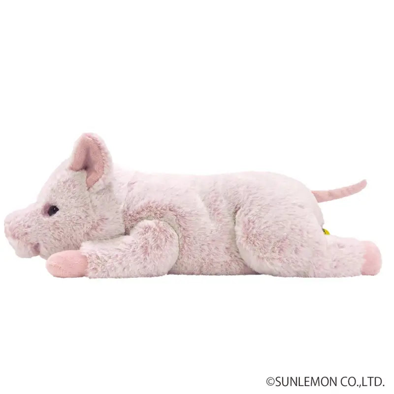 SUNLEMON Plush Doll Knee Pig