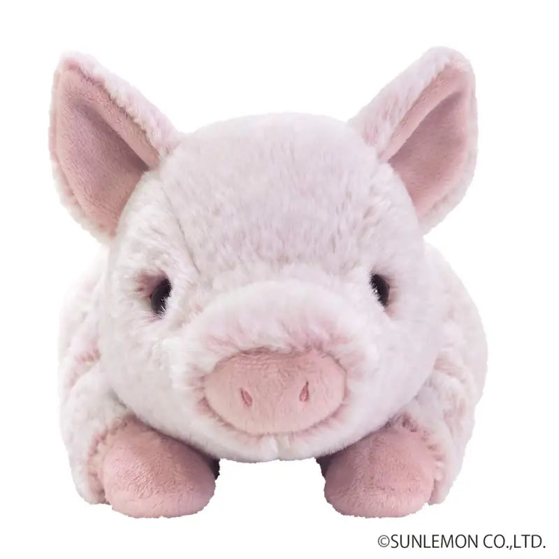 SUNLEMON Plush Doll Knee Pig