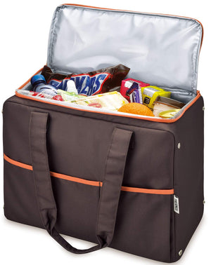 Thermos 25L Brown Cooler Shopping Bag Model Rer - 025 Bw