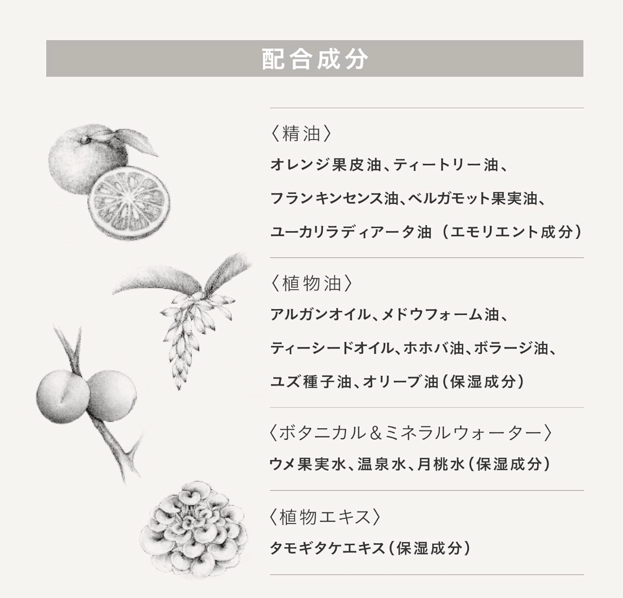 Three Hand, Arm and Cream AC G