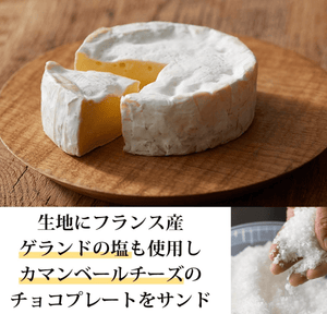 Tokyo Milk Cheese Factory Salt & Camembert Cookies, 10 pcs