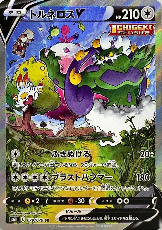 Torneros V Sa - 079/070 S6H SR MINT Pokémon TCG Japanese Pokemon card