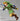 Figma 153 The Legend Of Zelda Skyward Sword Link Figure in 140mm, shield included, perfect for posing
