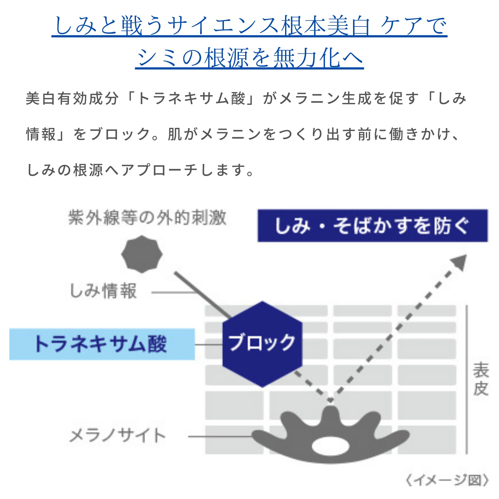 Transino Medicated Melanosignal Essence 30G Serum Whitening Tranexamic Acid Care