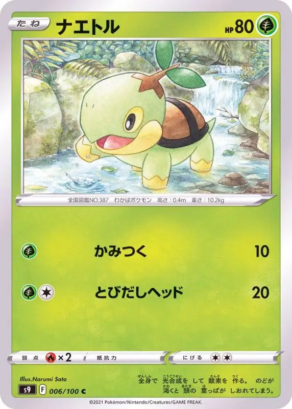 Turtwig - 006/100 S9 C MINT Pokémon TCG Japanese Pokemon card