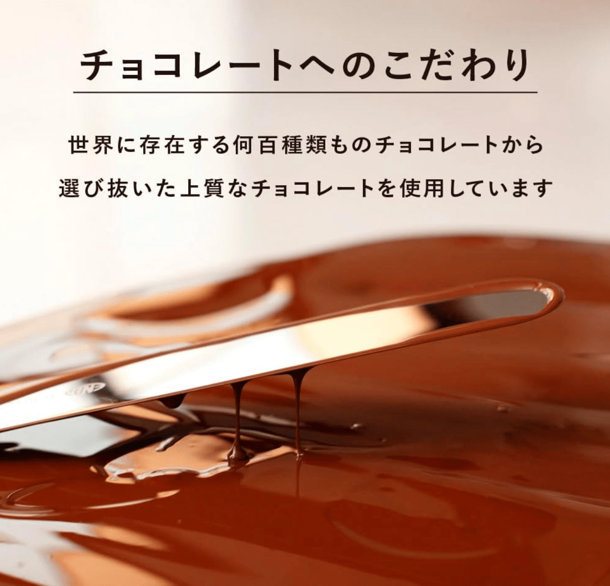 VANILLA BEANS Vanilla Beans Show Collar 4 Pieces