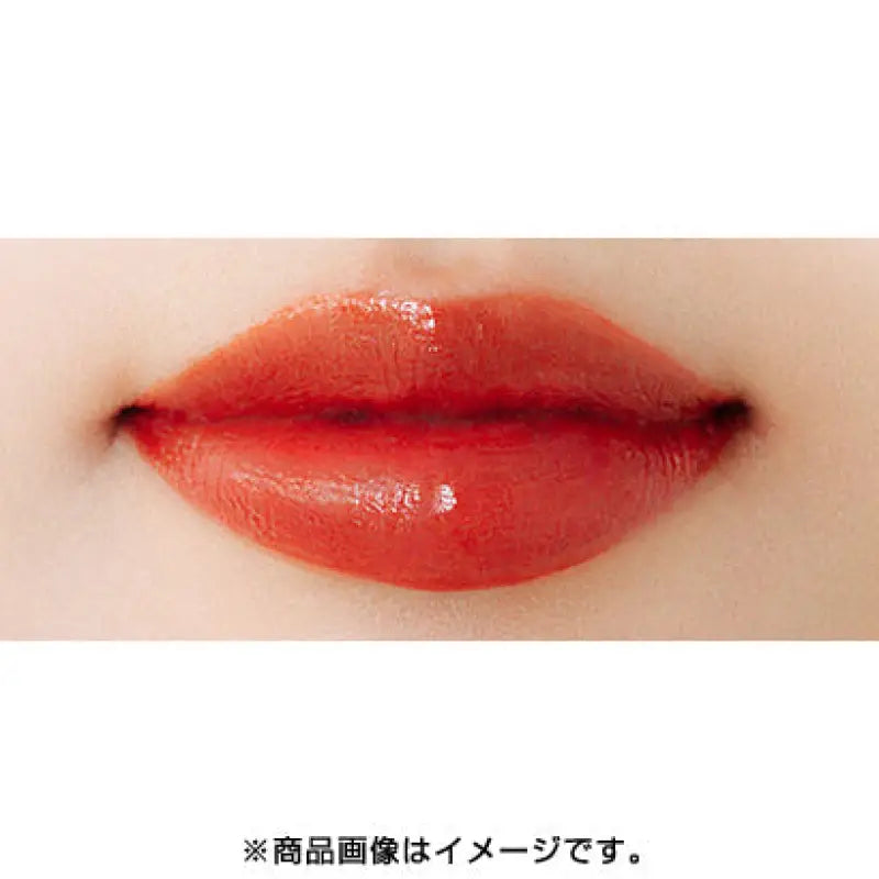 Yarman Only Mineral Rouge N Brick Red 3g - Japanese Lipstick Brands Lips Makeup